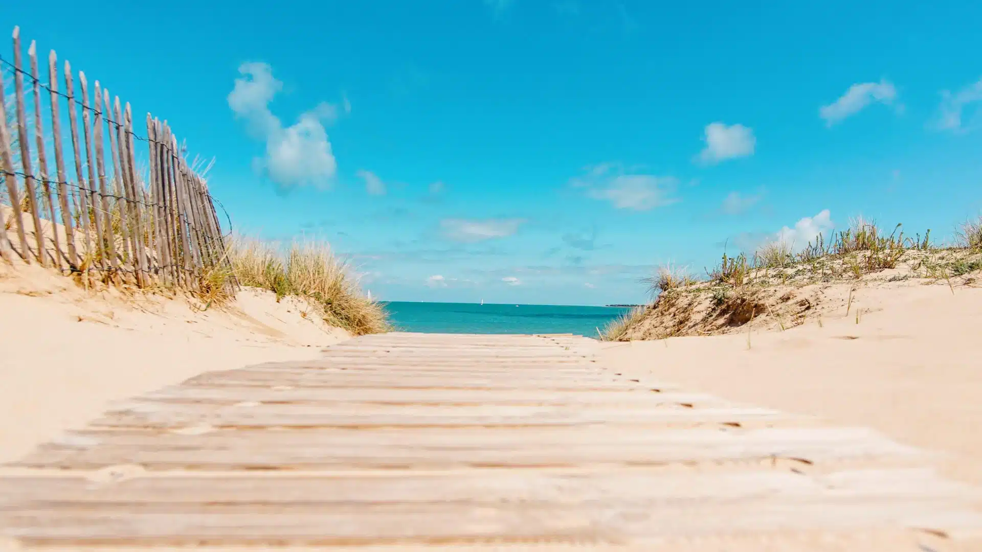 Sentier vers plage sous ciel bleu